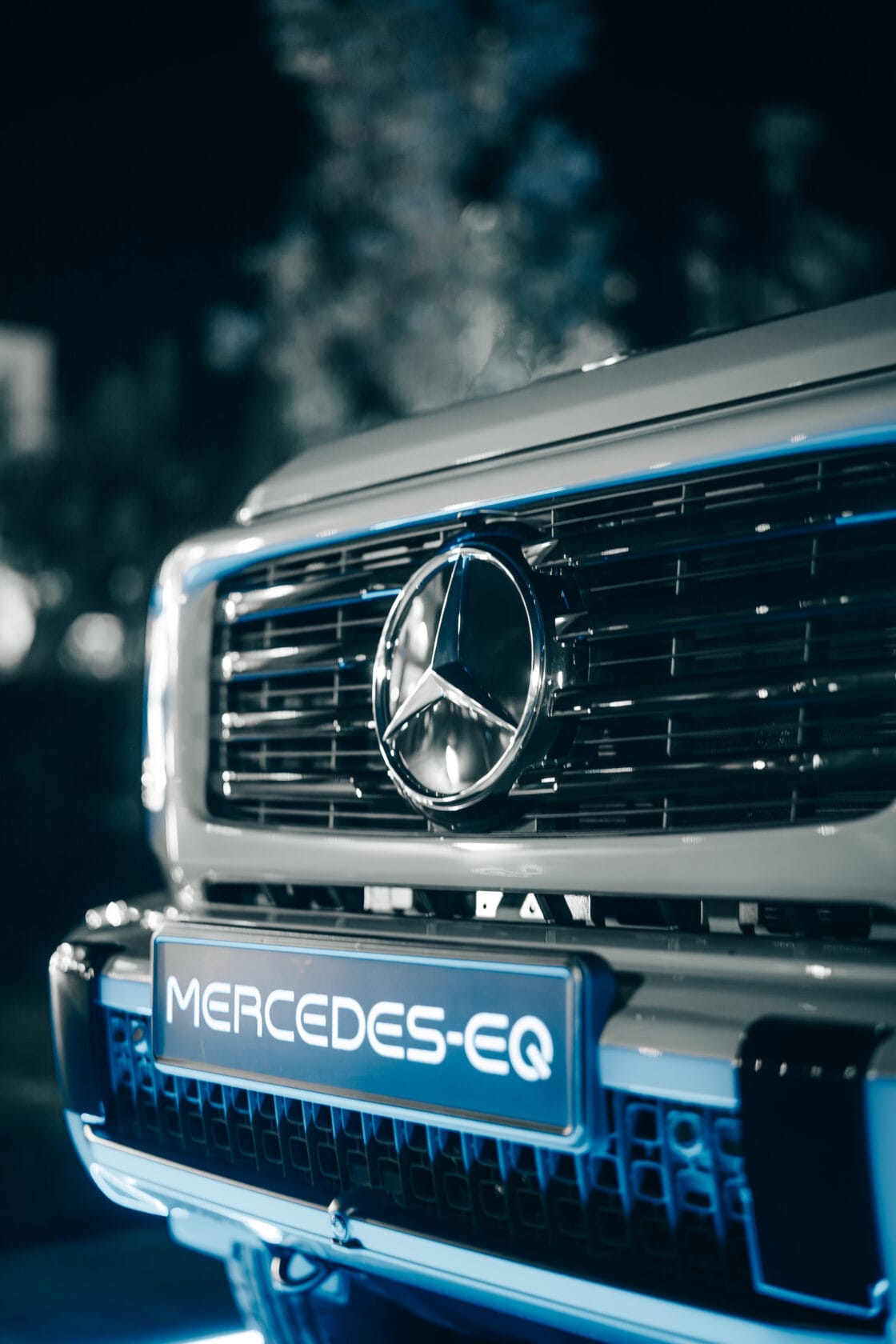 Mercedes de Willermin